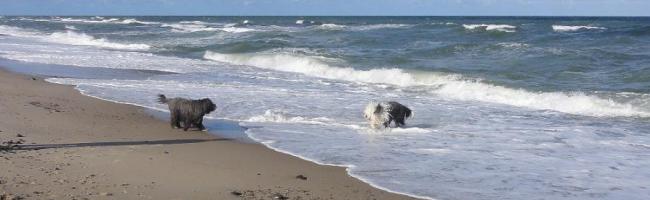 Jana und Yusha an der Nordsee