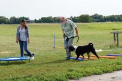 Cavaletti - Parcours