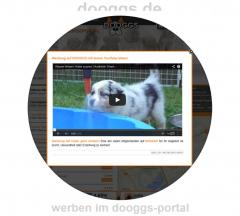 DOOGGS-Branchen-Werbung mit Video-Box