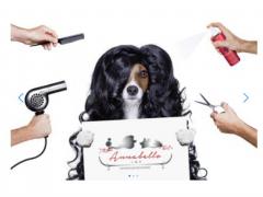 Hundesalon Annabello Falkensee