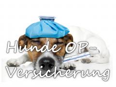 VMV Hunde OP-Versicherung