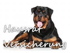 Hausratversicherung für Hundefreunde