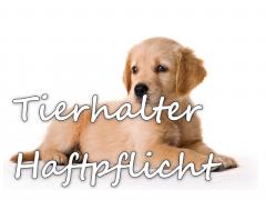 Tierhalterhaftpflicht für Blindenführhunde