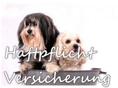 Hunde-Haftpflichtversicherung