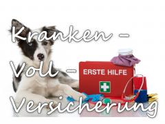 Hunde-Krankenvollversicherung