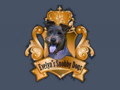 EVELYN*S SNOBBY DOGS