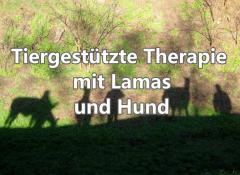 Tiergestützte Therapie | Unstrut Lamas