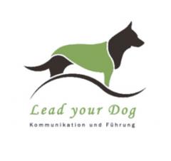 Hundepension und Hundeschule Simon Menhard