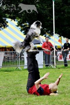 Angela Tederke, Dogfrisbee Trainer seit 2008