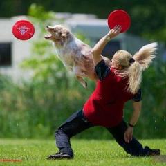 Angela Tederke mit Hund Pepper, Mini-Aussie, 5 Jahre