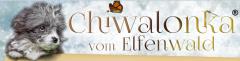 Chiwalonka vom Elfenwald