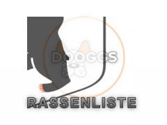 Rassenliste & Listenhunde Bundesland Berlin