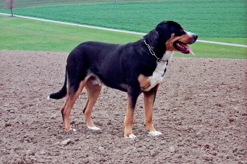 Von der Einpointer Höhe