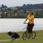 Dog-Scootering