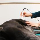 Therapeutischer Ultraschall