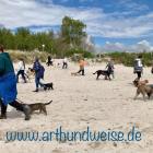 Alltagstraining