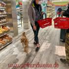 Alltagstraining