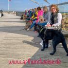 Activity Wochen