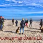 Alltagstraining