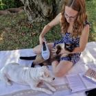 Zum Vergrößern klicken MKW Laser-Therapie