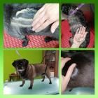 Zum Vergrößern klicken Thalasso-Therapie