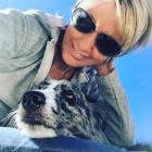 HIGH4 Mobiles Hundetraining