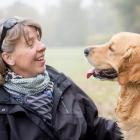 Hundeschule 2.0