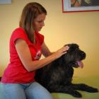 Osteotherapie