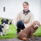 Meine Hunde und ich