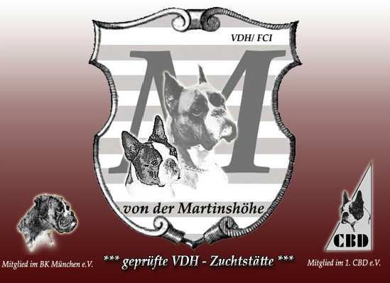 Von der Martinshöhe (FCI)