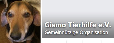 Gismo e.V. Tierhilfe-Tiertafel