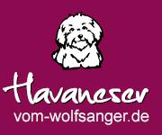 Havaneser vom Wolfsanger