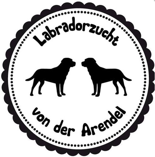 Von der Arendel Labradorzucht