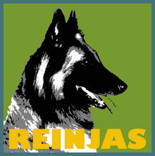 Reinjas Hundeschule