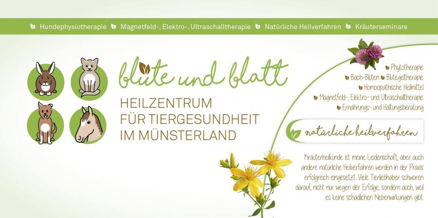 Blüte und Blatt Heilzentrum für Tiergesundheit