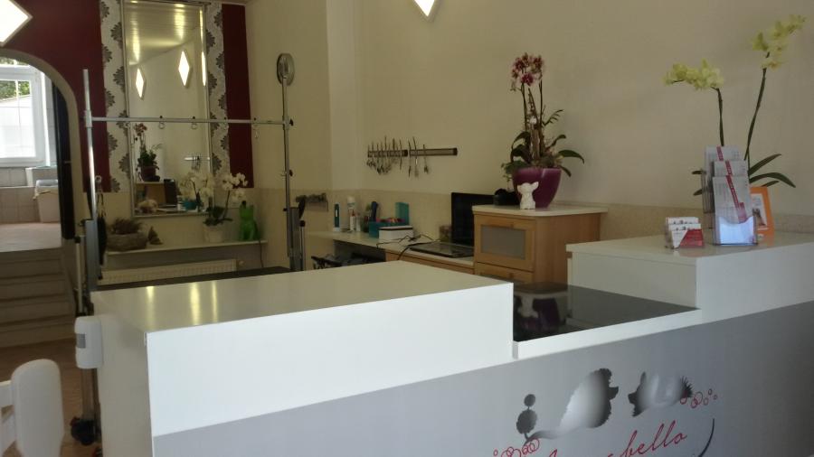 Hundesalon Annabello Falkensee