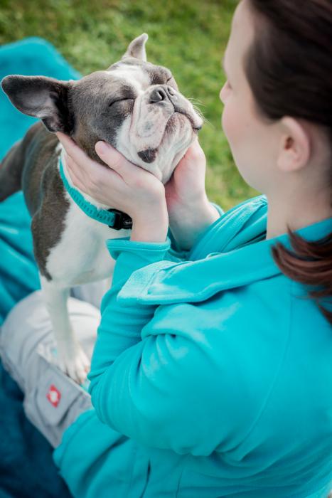 Tierphysiotherapie Diana Siegmund