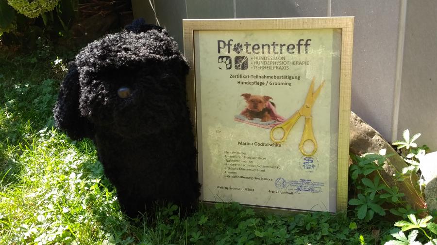Hundesalon Samtpfötchen