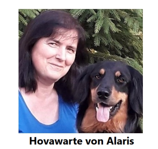 Hovawarte von Alaris