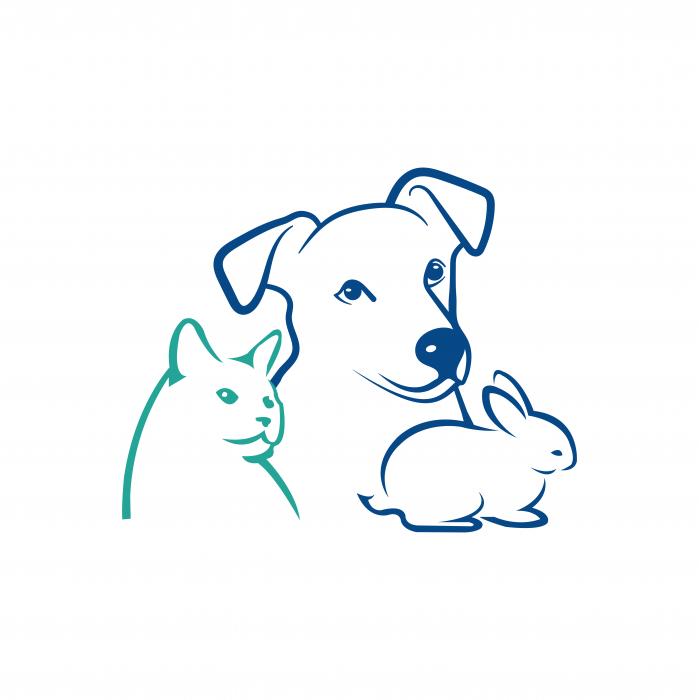 Hundephysiotherapie - Tiertherapie Wagner