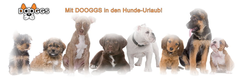 Mit DOOGGS in den Haustierurlaub